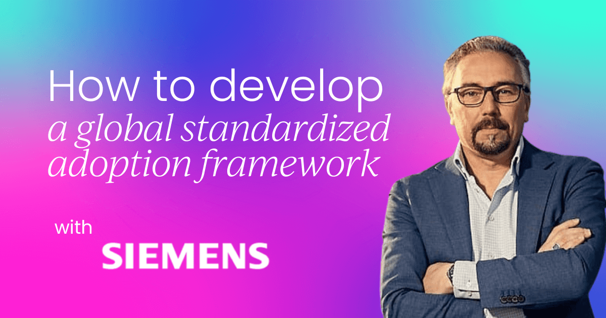 How to develop a global standardized adoption framework